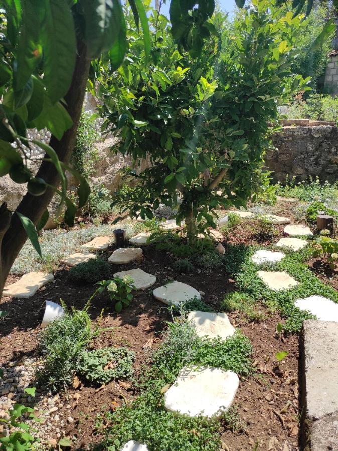 Apartments By The Sea Trpanj, Peljesac - 15995 Exterior foto